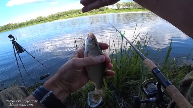 Кот покусал, но рыбу ловлю. Рыбалка на ОКЕ на донные снасти в июле. смотреть онлайн