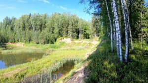 Испытания фэтбайка. До озера Драчково через болота и леса Переславля по старинной узкоколейке