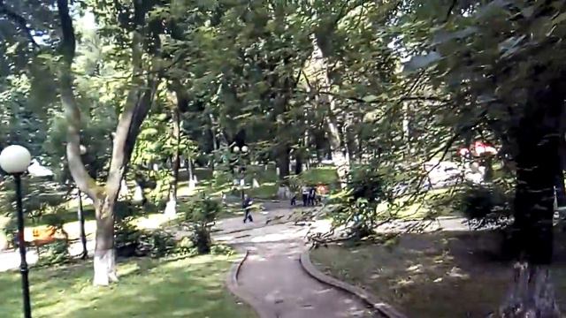 Гуляем в 7 часов утра! смотреть онлайн