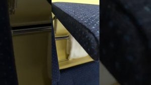 Фирменный поезд Италмас  СВ