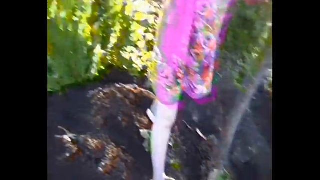 пересадка сливы 3 1 смотреть онлайн