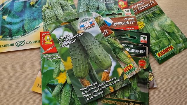Лучшие сорта огурцов для открытого грунта. Мои проверенные семена смотреть онлайн