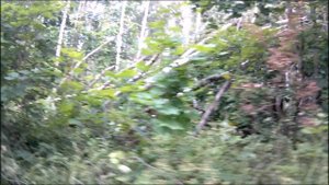 Испытания экшен камеры Digma.