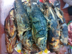 Коптим ротанчика горячим способом и не только.