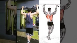 Комплекс упражнений для спины в тренажерном зале