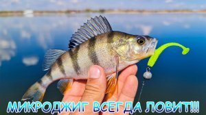 Микроджиг всегда ловит!!! Судак, окунь, берш на одну приманку!!!