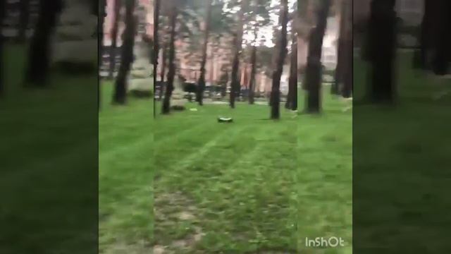 Моя дружная семья