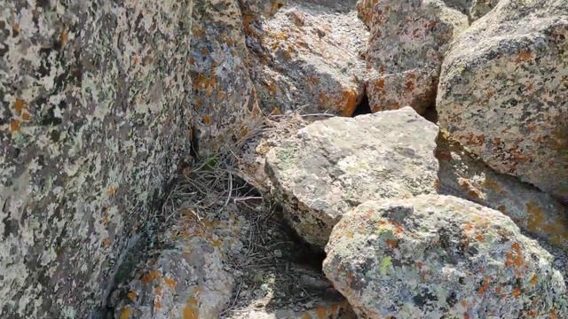 Моголта́у — высшая точка 1624м смотреть онлайн