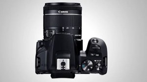Кому нужна маленькая зеркалка? Обзор Canon EOS 250D, сравнение с беззеркалками M50, M200