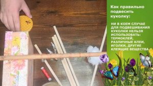 Подвешивание Куколок и Кормление Бабочек