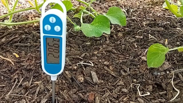 Сравнение на температурите в градината ми смотреть онлайн