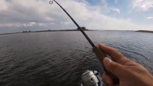 Ловля окуня и судачка летом лайтом на джиг в Энгельсе у железнодорожного моста