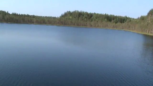 Оз. "Синенькое" Новгородский район