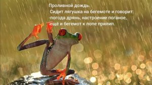 АНЕКДОТЫ ПРО ОСЕНЬ/ПРИКОЛ/ПОЗИТИВ/ЮМОР