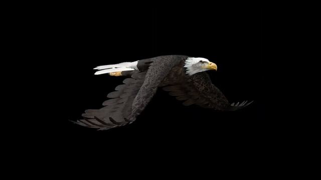 Полет беркута смотреть онлайн