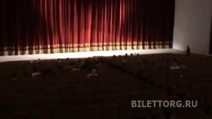 Театр Росс. Армии схема зала амфитеатр обзор зала
