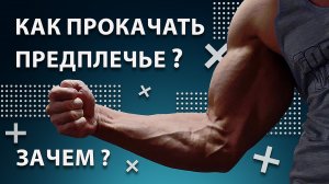 Как прокачать Предплечье? / Зачем это нужно?