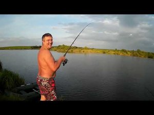 Первые толстолобики в этом сезоне. Тестируем планктон.