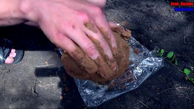 Дикая кухня. ART OF SURVIVAL. Примитивные технологии. Мясо со специями, запечённое в глине . смотреть онлайн