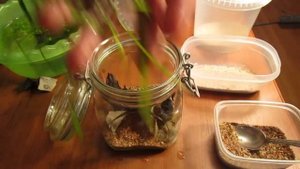 Аквариум в Литровой Банке Часть 1