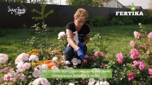 Осеннее комплексное удобрение