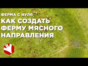 Экономика фермы | Как стать фермером с нуля | Мясное животноводство