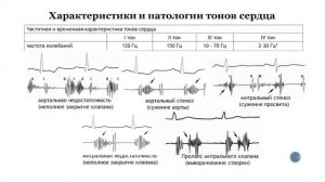 Биология. 9 класс. Зыбина А.М. Анатомия и физиология человека. Сердечно-сосудистая система