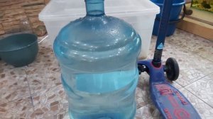 Как запустить аквариум. Руководство от начала до конца.