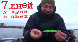 ЭТОТ ВОБЛЕР ЛОВИТ ВСЕГДА!!! ПРИМАНКА НА ТРОФЕЙНУЮ ЩУКУ