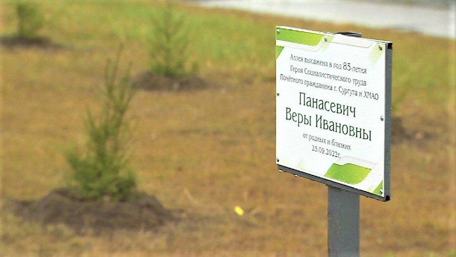 85-летняя сургутянка получила в подарок на юбилей хвойную аллею