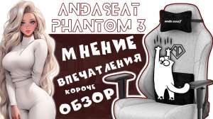 AndaSeat Phantom 3 - Детское кресло для взрослых 18+