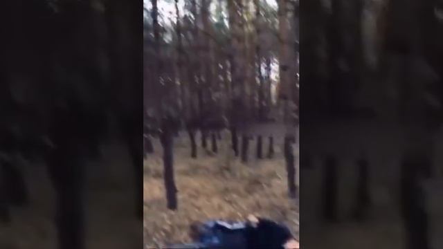 Не те грибы.MP4 смотреть онлайн