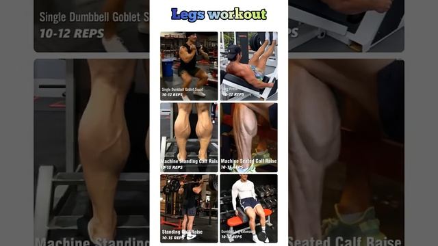 The PERFECT Leg Workout -