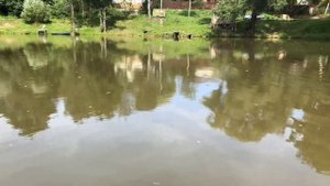 Рыбалка на карпа в Кузьмищево Поймали и съели 🤣🤣🤣