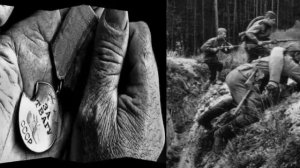 Мы так давно, мы так давно не отдыхали