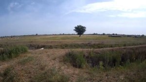13.06.2023 КоАП РФ Статья 8.26. Самовольное использование лесов...