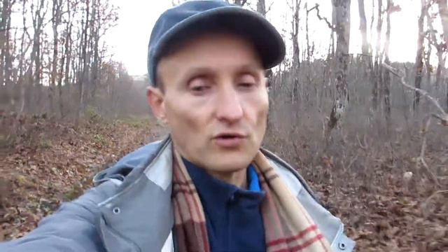 Как начать видеобологинг? смотреть онлайн