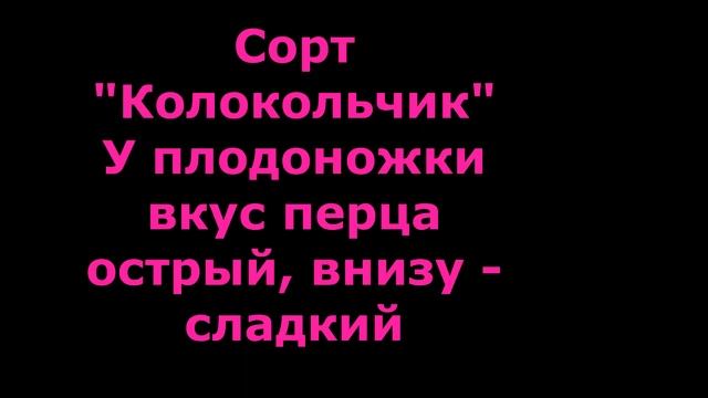 Сорта перца, которые я сажаю. смотреть онлайн