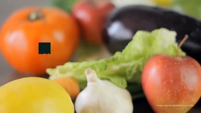 A New Path California Reviews - San Rafael, California смотреть онлайн