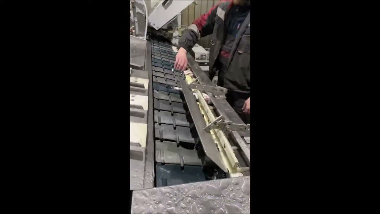 Baader 482 Устройство для подачи рыбы