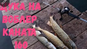 щука на воблер