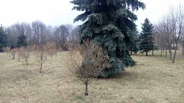 ПОТОМСТВЕННЫЕ ДЕГЕНЕРАТЫ, ИДИОТЫ, ТУПОЕ РАЗМНОЖЕНИЕ, АБОРТ, ДЕТИ, РОДИТЕЛИ, СЕМЬЯ, СМЫСЛ ЖИЗНИ, ЧУШ