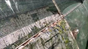 ЖАРКО В ТЕПЛИЦЕ!ЗАТЕНЕНИЕ ТЕПЛИЦЫ!ЧЕМ ЗАТЕНЯТЬ ТЕПЛИЦУ!