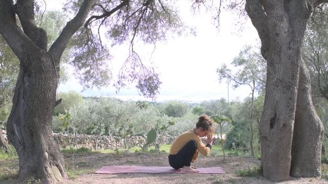 fiducia e levita смотреть онлайн