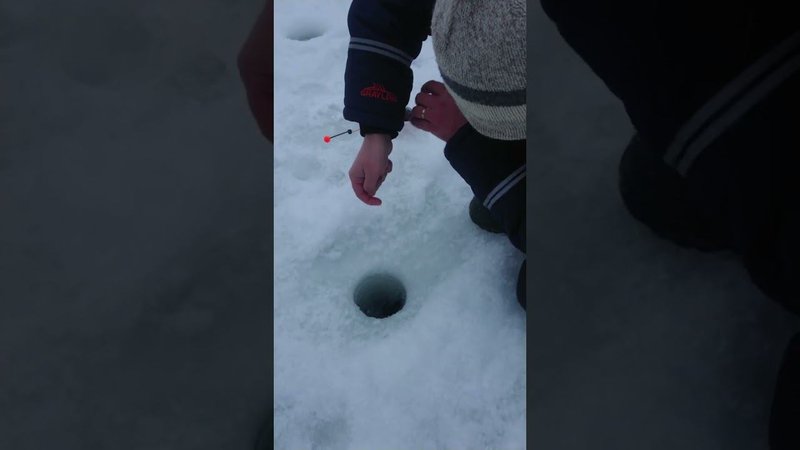 На пассив