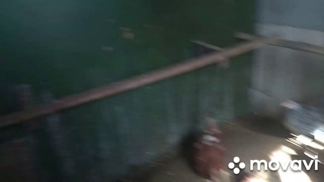 Почему зимой в курятнике тепло и без обогревателя? смотреть онлайн