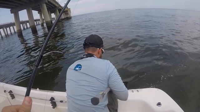 GIANT SHEEPSHEAD LOVE THIS BAIT! EPIC SHEEPSHEAD FISHING with HOW TO and TIPS смотреть онлайн