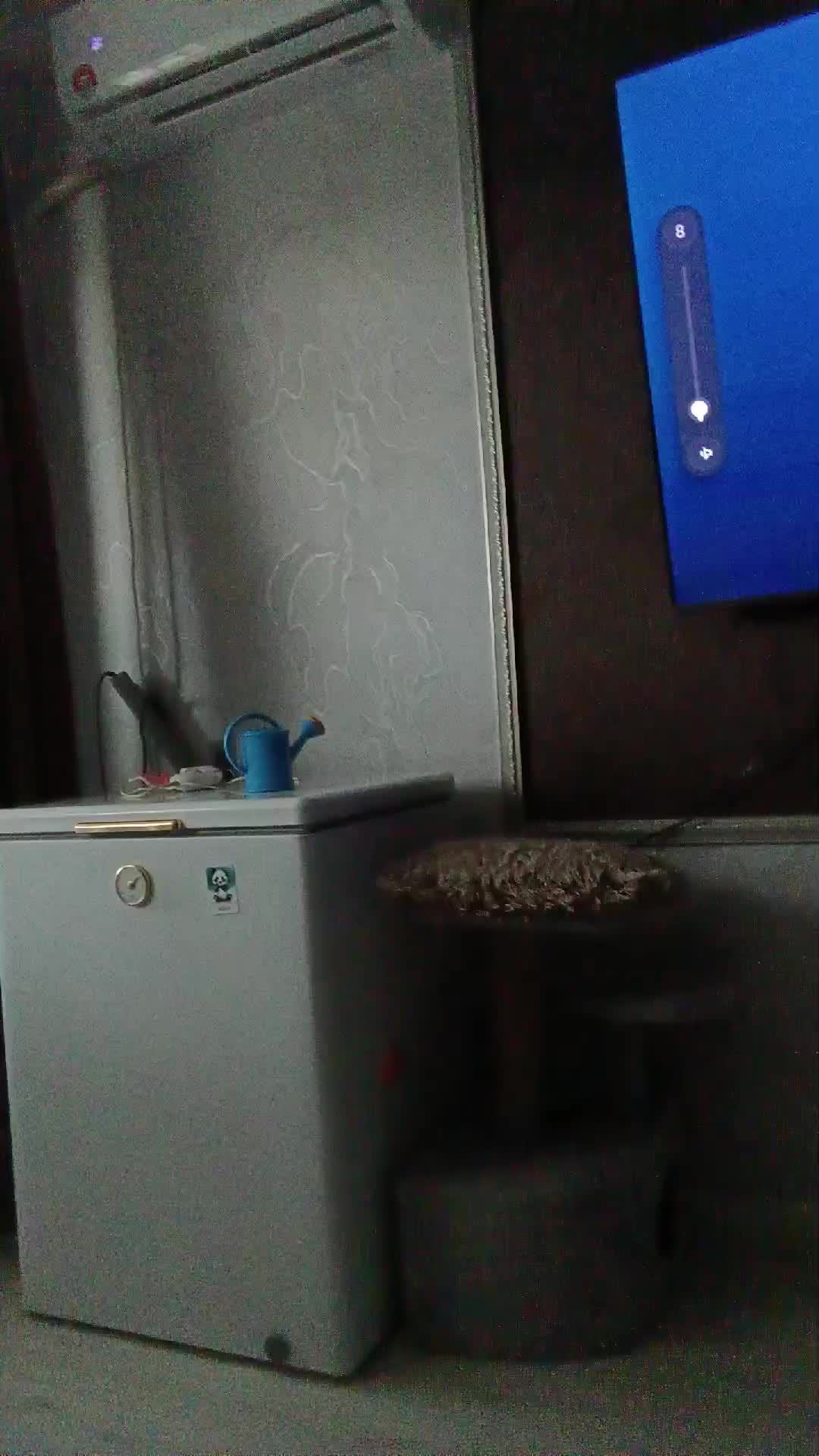 Смотрим видосииии (Эфир) смотреть онлайн