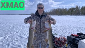 Рыбалка в ХМАО /щука до 5 кг на жерлицу