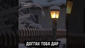 ДОГГАХ ТОБА ДАР ХЬЕХАМ